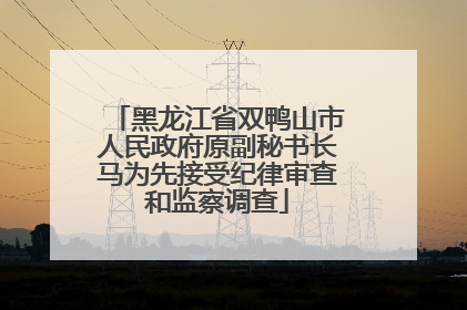 黑龙江省双鸭山市人民政府原副秘书长马为先接受纪律审查和监察调查