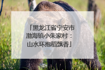 黑龙江省宁安市渤海镇小朱家村：山水环抱稻飘香