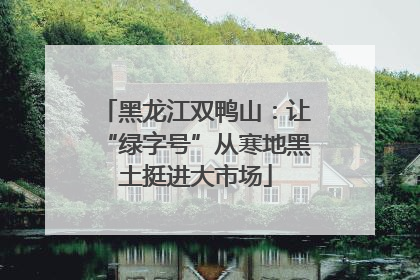 黑龙江双鸭山：让“绿字号”从寒地黑土挺进大市场