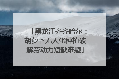 黑龙江齐齐哈尔：胡萝卜无人化种植破解劳动力短缺难题