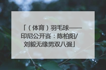 （体育）羽毛球——印尼公开赛：陈柏阳/刘毅无缘男双八强