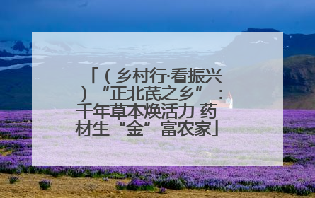 （乡村行·看振兴）“正北芪之乡”：千年草本焕活力 药材生“金”富农家