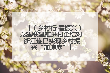 （乡村行·看振兴）党建联建推进村企结对 浙江遂昌实现乡村振兴“加速度”