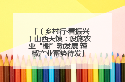 （乡村行·看振兴）山西天镇：设施农业“棚”勃发展 辣椒产业蓄势待发