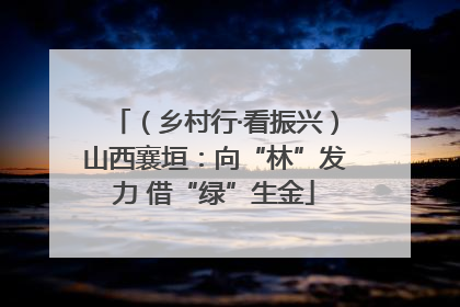 （乡村行·看振兴）山西襄垣：向“林”发力 借“绿”生金