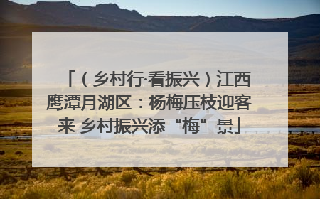 （乡村行·看振兴）江西鹰潭月湖区：杨梅压枝迎客来 乡村振兴添“梅”景
