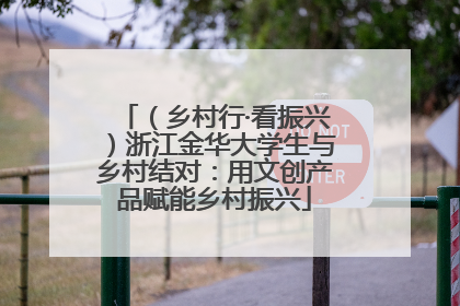 （乡村行·看振兴）浙江金华大学生与乡村结对：用文创产品赋能乡村振兴