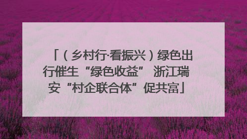 （乡村行·看振兴）绿色出行催生“绿色收益” 浙江瑞安“村企联合体”促共富