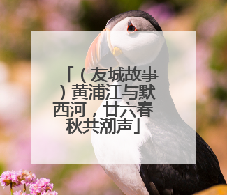 （友城故事）黄浦江与默西河，廿六春秋共潮声