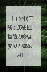 （外代二线）历史植物助力修复庞贝古城花园