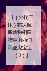 （外代二线）布达佩斯动物和植物园的西伯利亚虎宝宝（2）