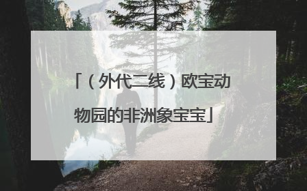（外代二线）欧宝动物园的非洲象宝宝