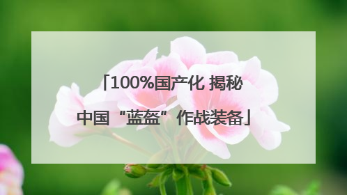 100%国产化 揭秘中国“蓝盔”作战装备