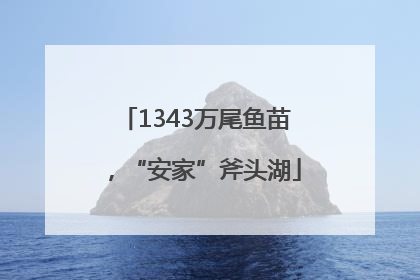 1343万尾鱼苗，“安家”斧头湖