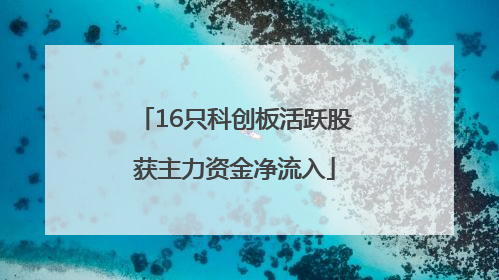 16只科创板活跃股获主力资金净流入