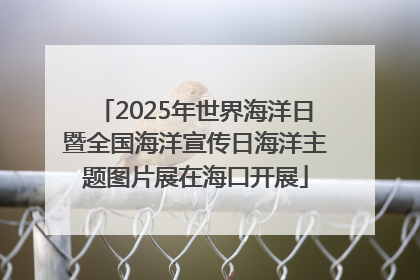 2025年世界海洋日暨全国海洋宣传日海洋主题图片展在海口开展