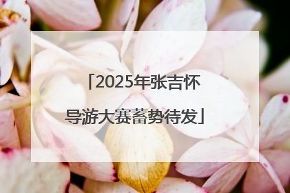 2025年张吉怀导游大赛蓄势待发