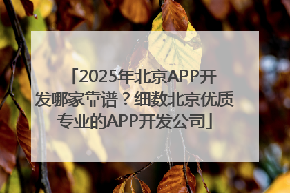 2025年北京APP开发哪家靠谱？细数北京优质专业的APP开发公司