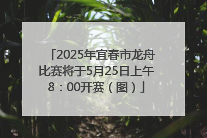 2025年宜春市龙舟比赛将于5月25日上午8：00开赛（图）