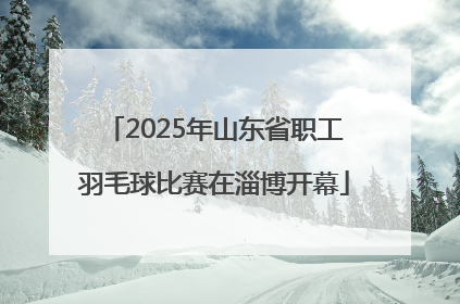 2025年山东省职工羽毛球比赛在淄博开幕