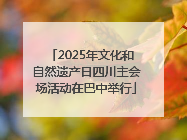 2025年文化和自然遗产日四川主会场活动在巴中举行