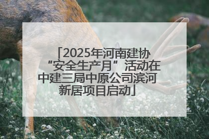 2025年河南建协“安全生产月”活动在中建三局中原公司滨河新居项目启动