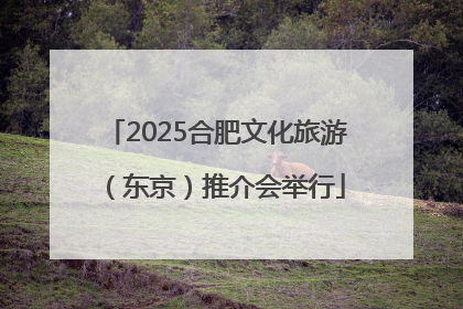 2025合肥文化旅游（东京）推介会举行