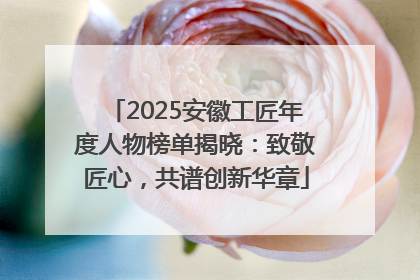 2025安徽工匠年度人物榜单揭晓：致敬匠心，共谱创新华章