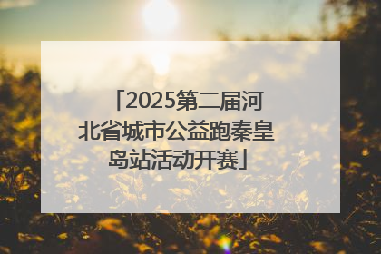 2025第二届河北省城市公益跑秦皇岛站活动开赛