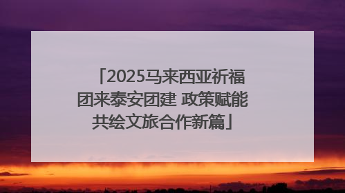 2025马来西亚祈福团来泰安团建 政策赋能共绘文旅合作新篇