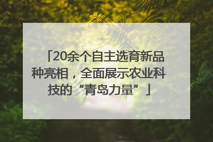 20余个自主选育新品种亮相，全面展示农业科技的“青岛力量”