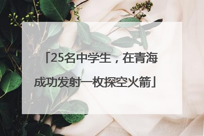 25名中学生，在青海成功发射一枚探空火箭