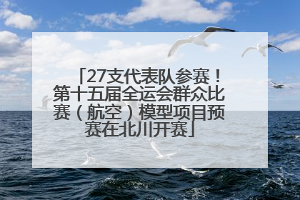 27支代表队参赛！第十五届全运会群众比赛（航空）模型项目预赛在北川开赛