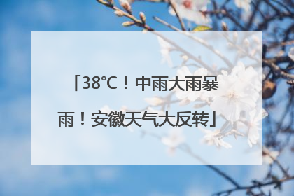 38℃！中雨大雨暴雨！安徽天气大反转