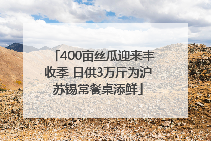 400亩丝瓜迎来丰收季 日供3万斤为沪苏锡常餐桌添鲜