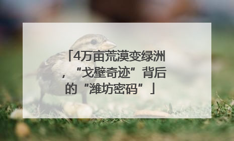 4万亩荒漠变绿洲，“戈壁奇迹”背后的“潍坊密码”