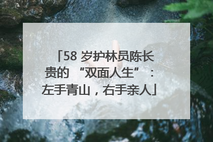 58 岁护林员陈长贵的 “双面人生”：左手青山，右手亲人