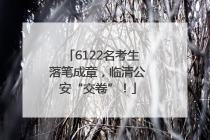 6122名考生落笔成章，临清公安“交卷”！