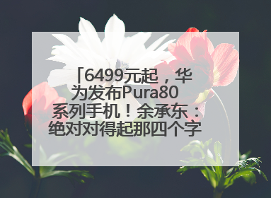 6499元起，华为发布Pura80系列手机！余承东：绝对对得起那四个字！华为近十年研发投入12490亿元