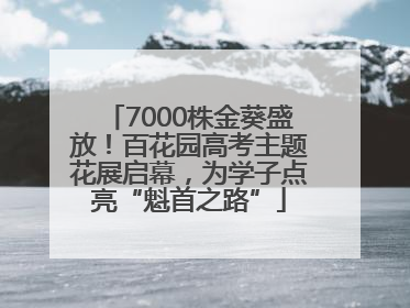 7000株金葵盛放！百花园高考主题花展启幕，为学子点亮“魁首之路”