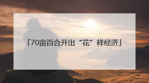 70亩百合开出“花”样经济