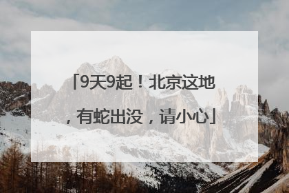 9天9起！北京这地，有蛇出没，请小心