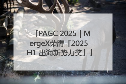 PAGC 2025｜MergeX荣膺「2025 H1 出海新势力奖」